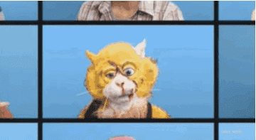 anigif_enhanced-4055-1415399700-17.gif